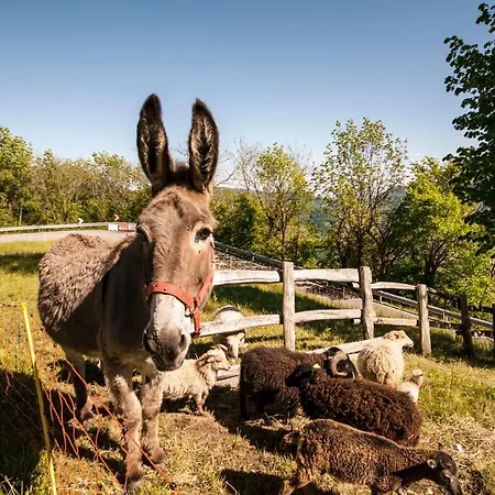Foresteria Botton D'oro Bed & Breakfast Fuipiano Valle Imagna