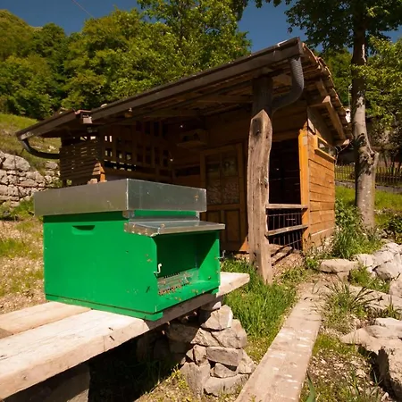 Botton D'oro Valle Imagna Bed & Breakfast *